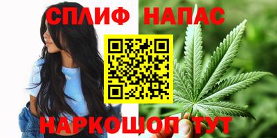 Альфа ПВП Камышлов