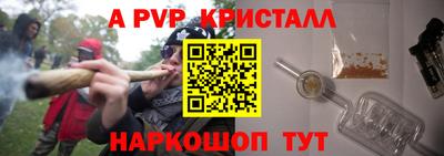 стаф Канаш